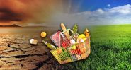 Climate Disruption Drives Up Grocery Costs