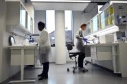 Denmark could eradicate cervical cancer by 2040