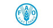 FAO Builds Partnerships to Shape Lebanon’s Agricultural Future