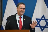 Israel Threatens Action if Syrian Regime Fails to Shield Druze Minority