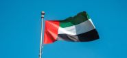 Tons of Emirati Aid Reach BIA