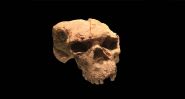 Ancient Chinese Skull Challenges Human Evolution Timeline