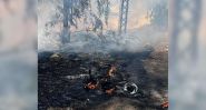Israeli Drone Leaves One Injured in Deir Siryan, South Lebanon