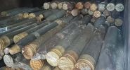 Army Collects Weapons from Palestinian Camps in South