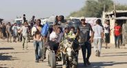 WHO Chief: Gaza Faces Man-Made Starvation as Aid Blockade Continues