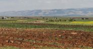 Bitter Fruits, Pricey Greens: Lebanon’s Food Basket Feels the Heat