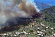 Syrie : Lattaquié en proie aux flammes pour le 4e jour, 10 000 hectares de forêts détruits