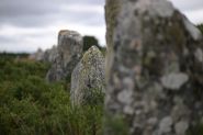 Carnac’s Megaliths Earn Global Spotlight