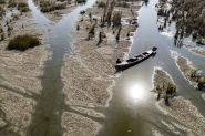Drought Threatens Iraq’s Ancient Marshes