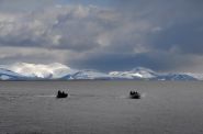 The Russian Past of Alaska, Where Trump and Putin Will Meet