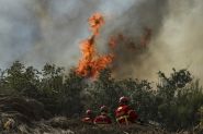 Child Dies in Italy as European Heatwave Sets Records and Sparks Wildfires