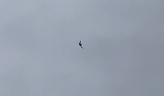 Two Dead in Israeli Strikes in Khiam and Yohmor al-Shaqif