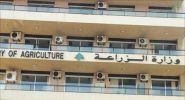 Lebanon Launches National Roadside Reforestation Project
