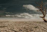Half the World Faced an Extra Month of Extreme Heat Due to Climate Change: Study