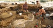 In Charente, a New Dinosaur Emerges from the Ground