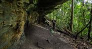 Ancient Clues in Gabon’s Forests