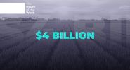$4 Billion: The True Weight of Lebanon’s Agriculture Sector