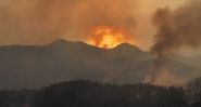 Environmental Disaster: Wildfires Rage Across Syria and Turkey