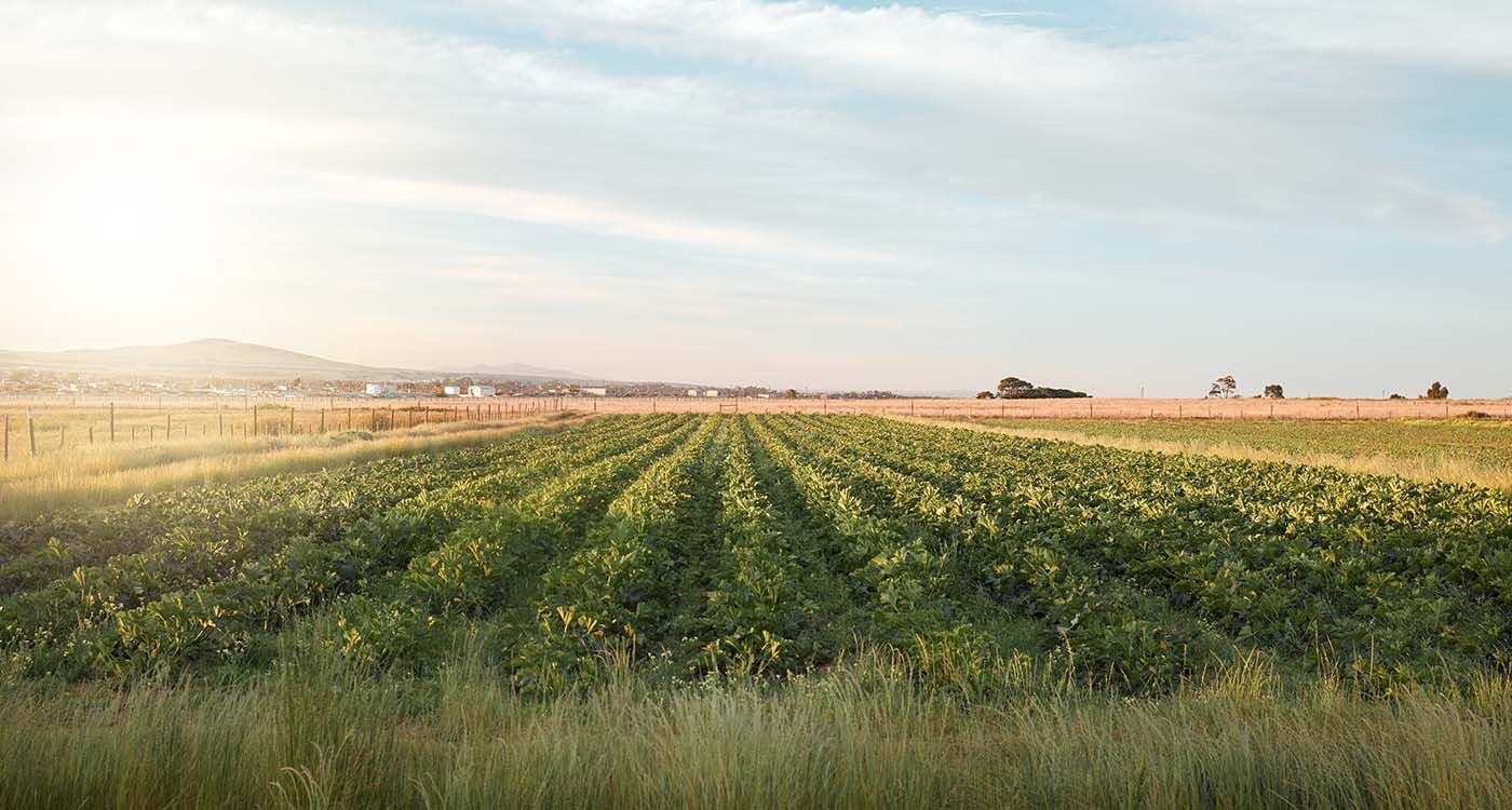 Agriculture at a Crossroads: Rich Lands, Closed Borders
