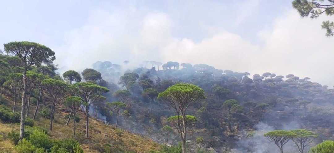 Civil Defense Tackles Wildfires in Ras Al-Matn