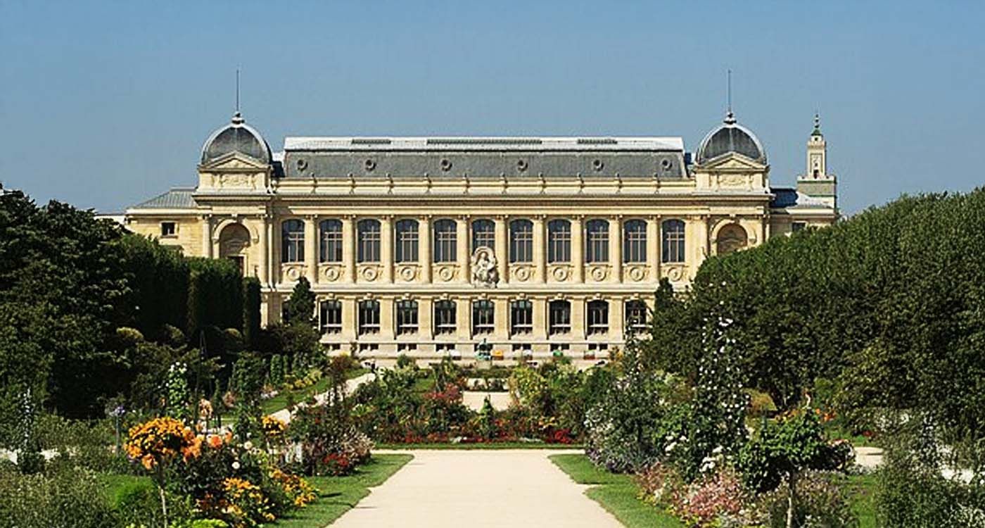 Vol d'or au Muséum d'histoire naturelle à Paris: une Chinoise mise en examen et écrouée