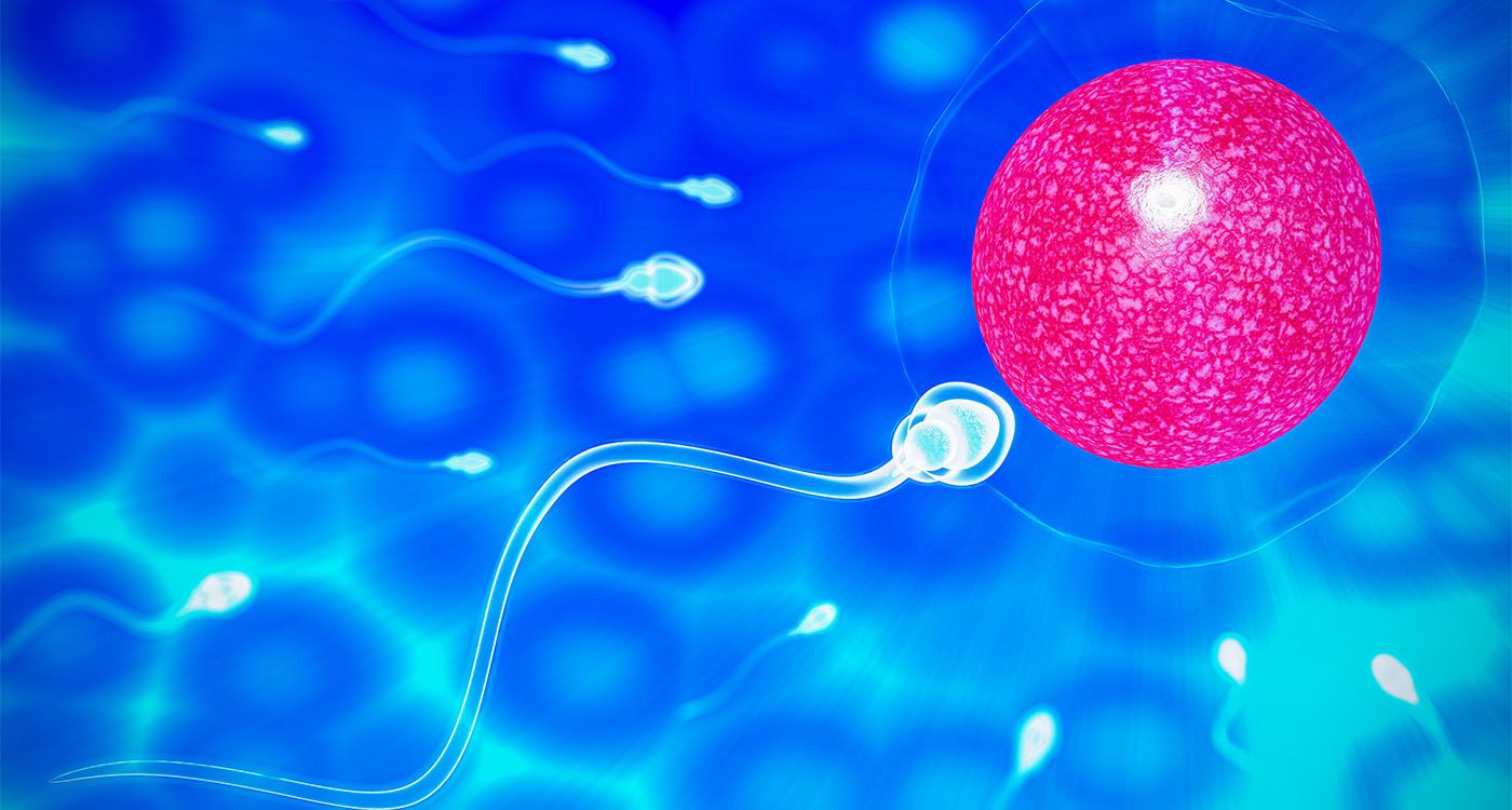 Créer des ovules humains à partir de la peau: jusqu’où ira la science?