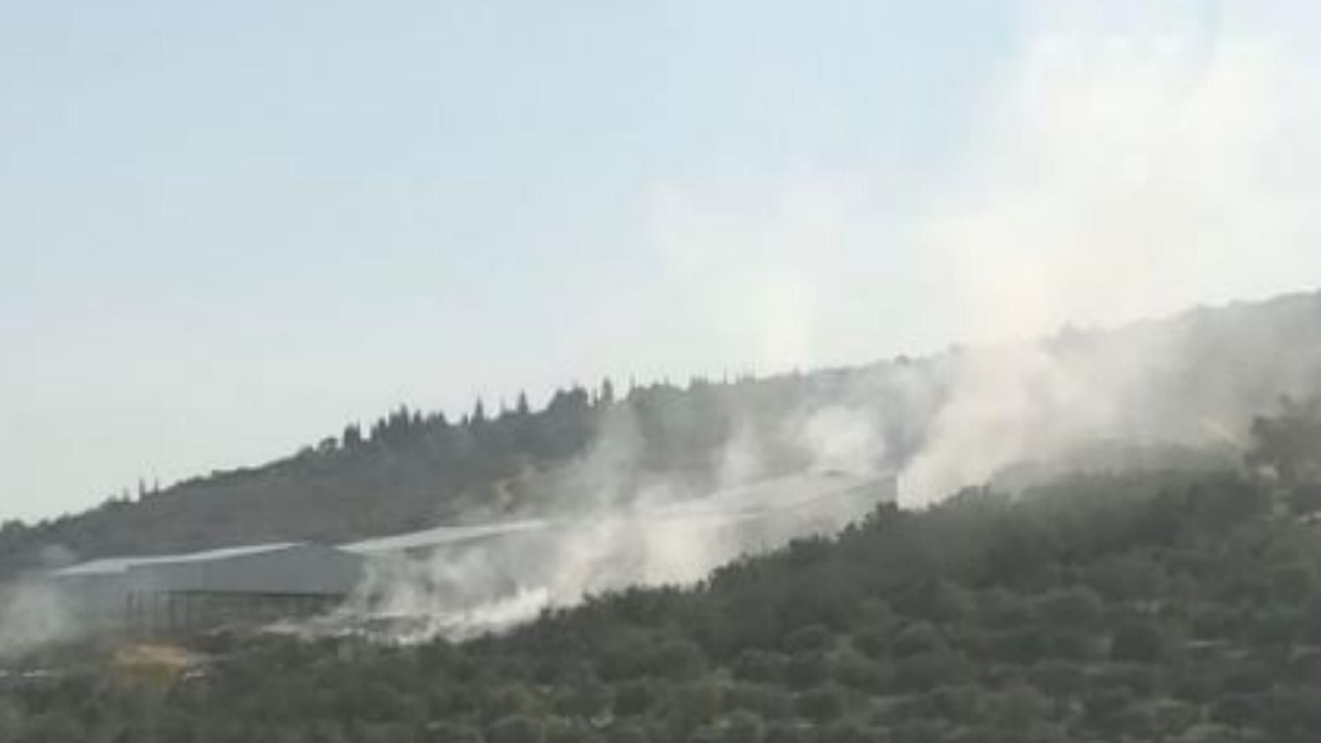Series of Fires: Extreme Heat and Climate Inaction Under Scrutiny