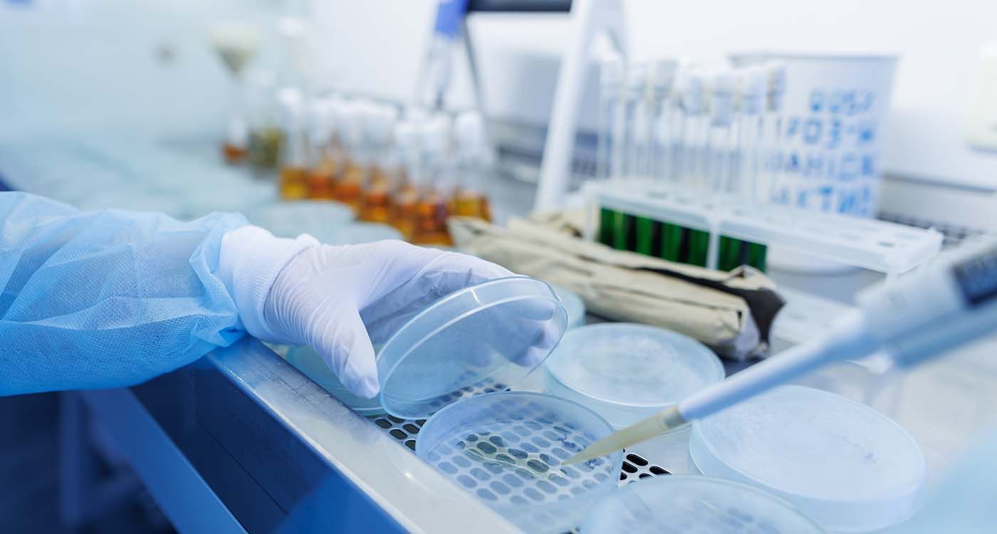 «Bactérie miroir»: et si la prochaine pandémie venait du labo?