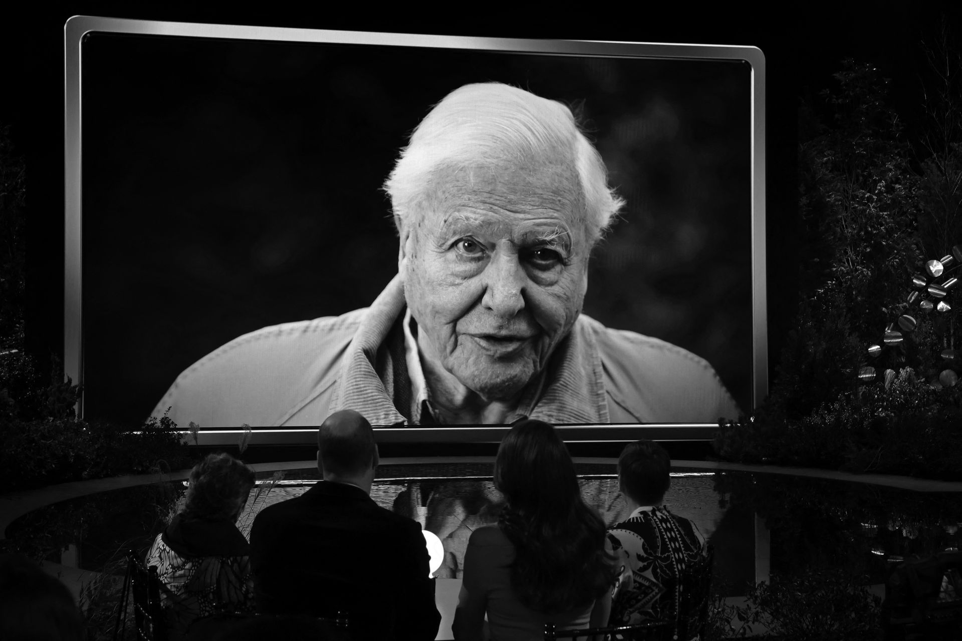 David Attenborough Urges 'Save the Oceans' as New Film Premieres