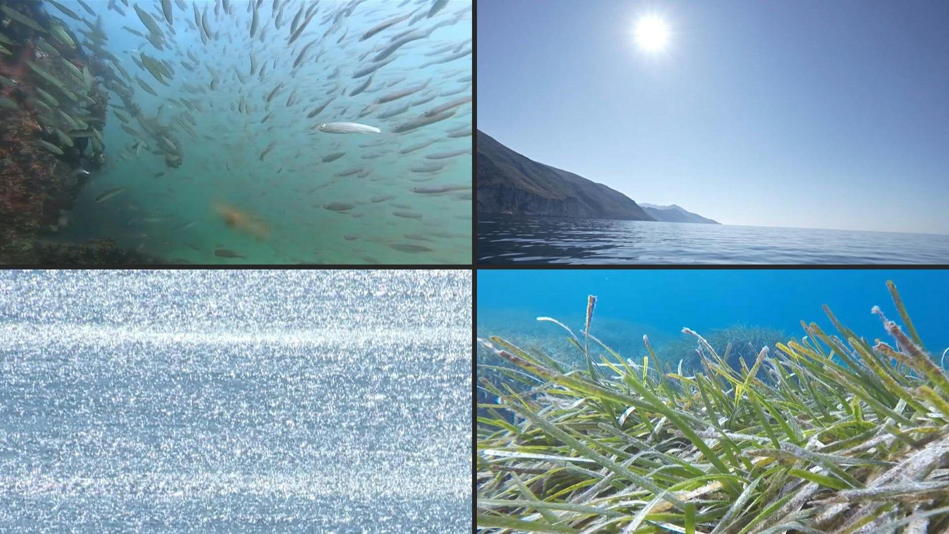 La mer Mediterranée a enregistré dimanche une température record pour un mois de juin