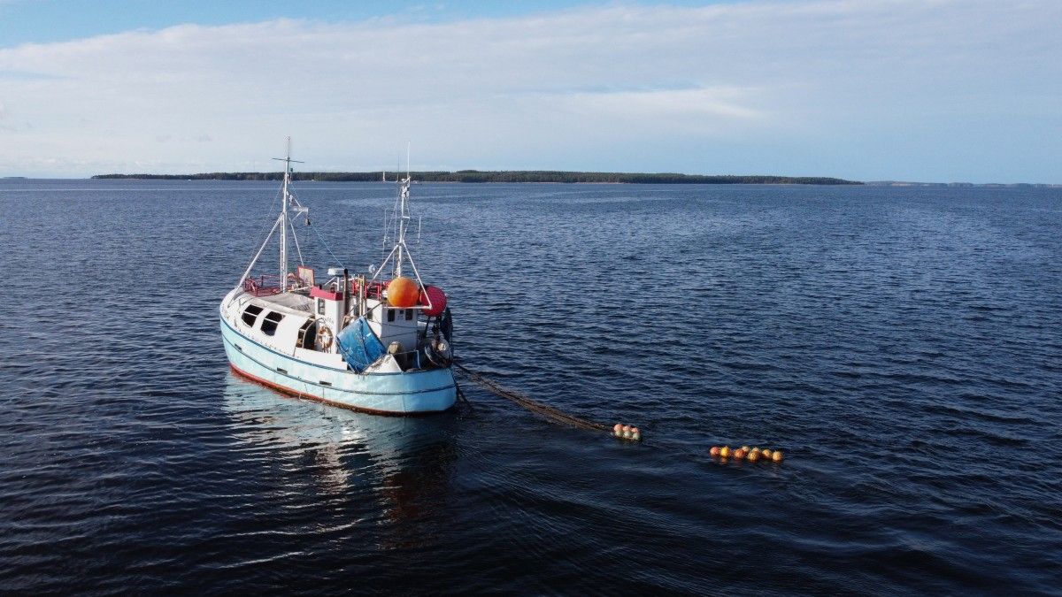 Baltic Sea: A European Effort to Reoxygenate an “Ecological Desert”