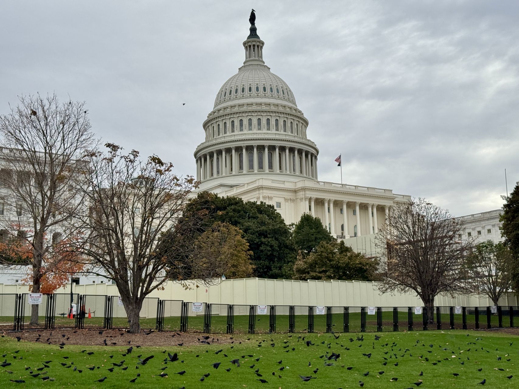 Republicans Take Control of Congress Delivering a Governing Trifecta to The GOP