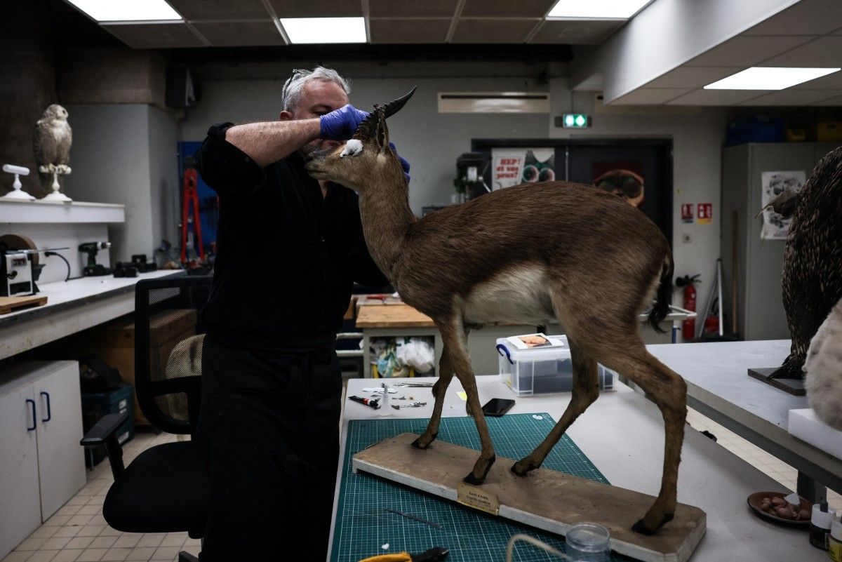 Exploration sensorielle des déserts au Muséum de Paris