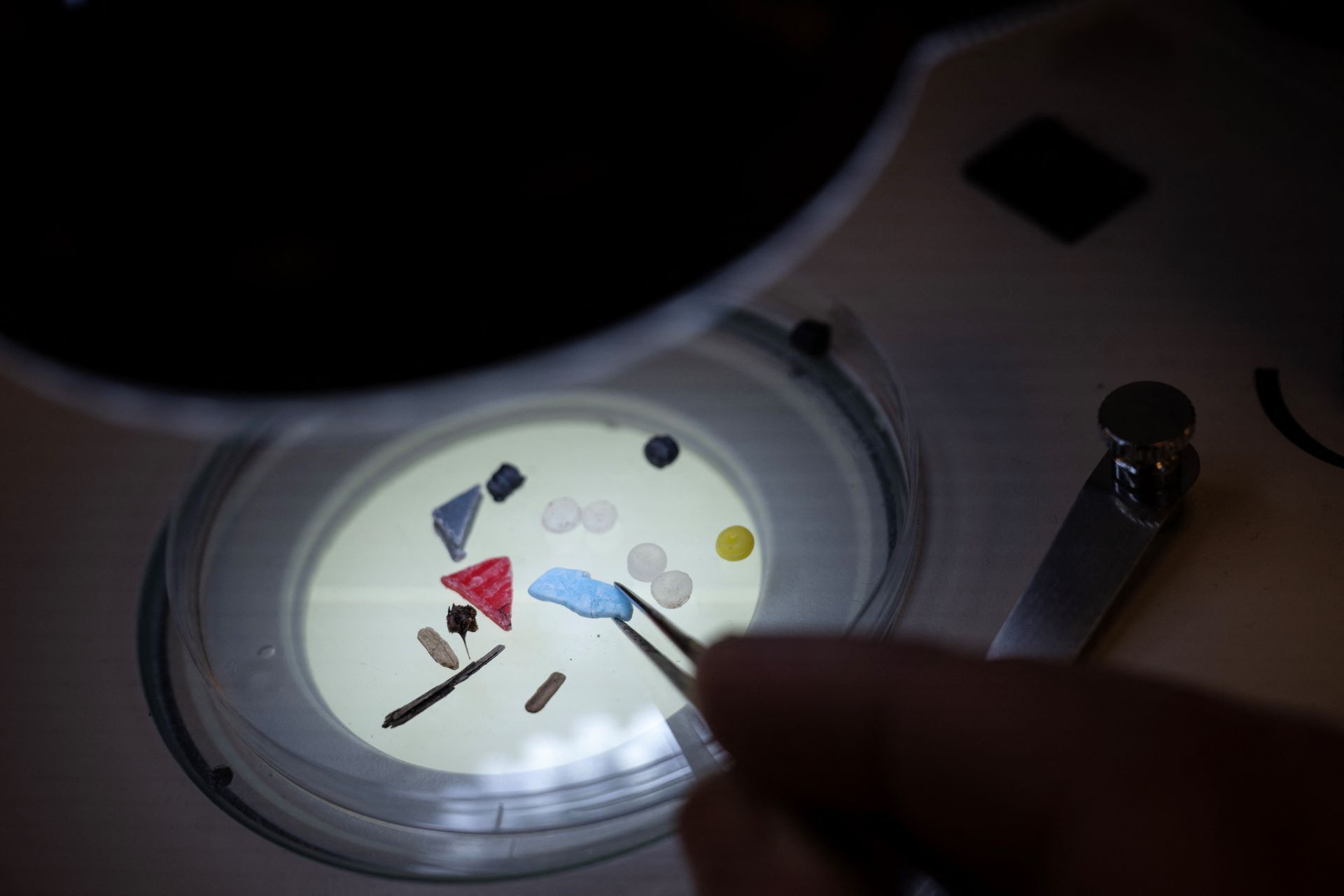 Microplastiques et santé : Une équation complexe, une préoccupation croissante