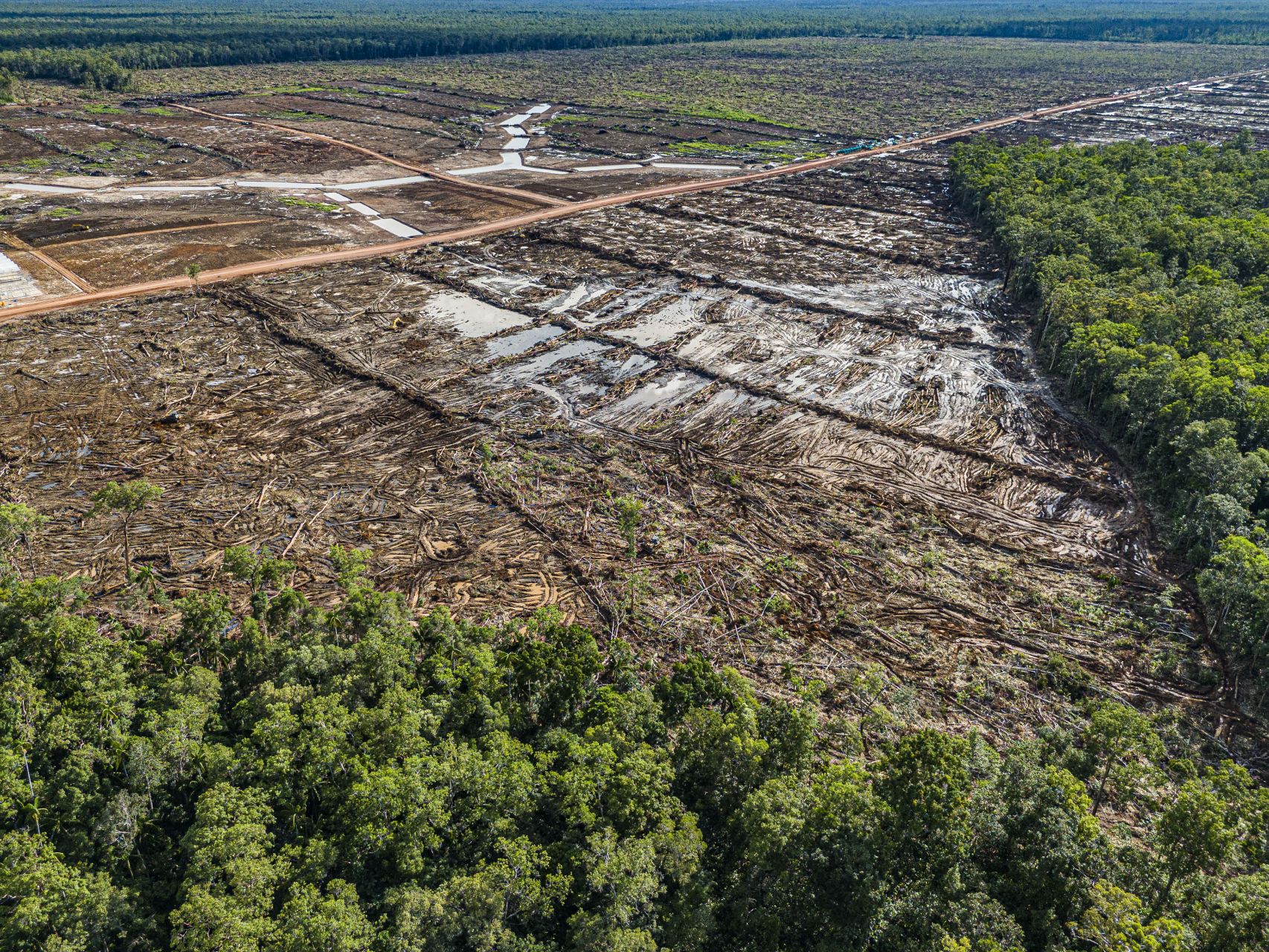 Pour se nourrir, l'Indonésie risque une déforestation massive