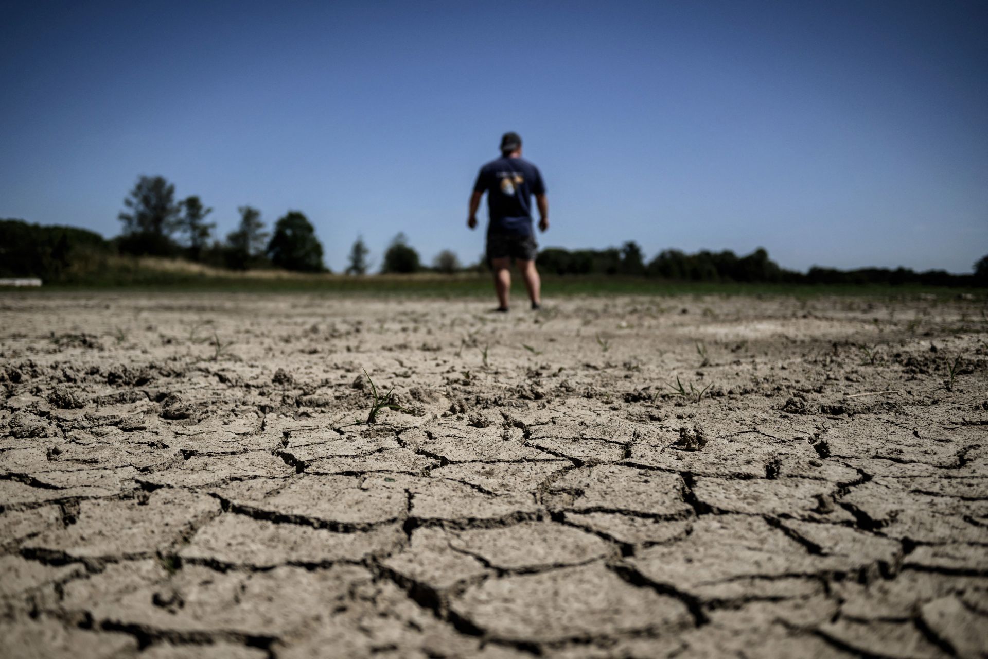 Canicule: les organismes mis à l'épreuve, des précautions à prendre