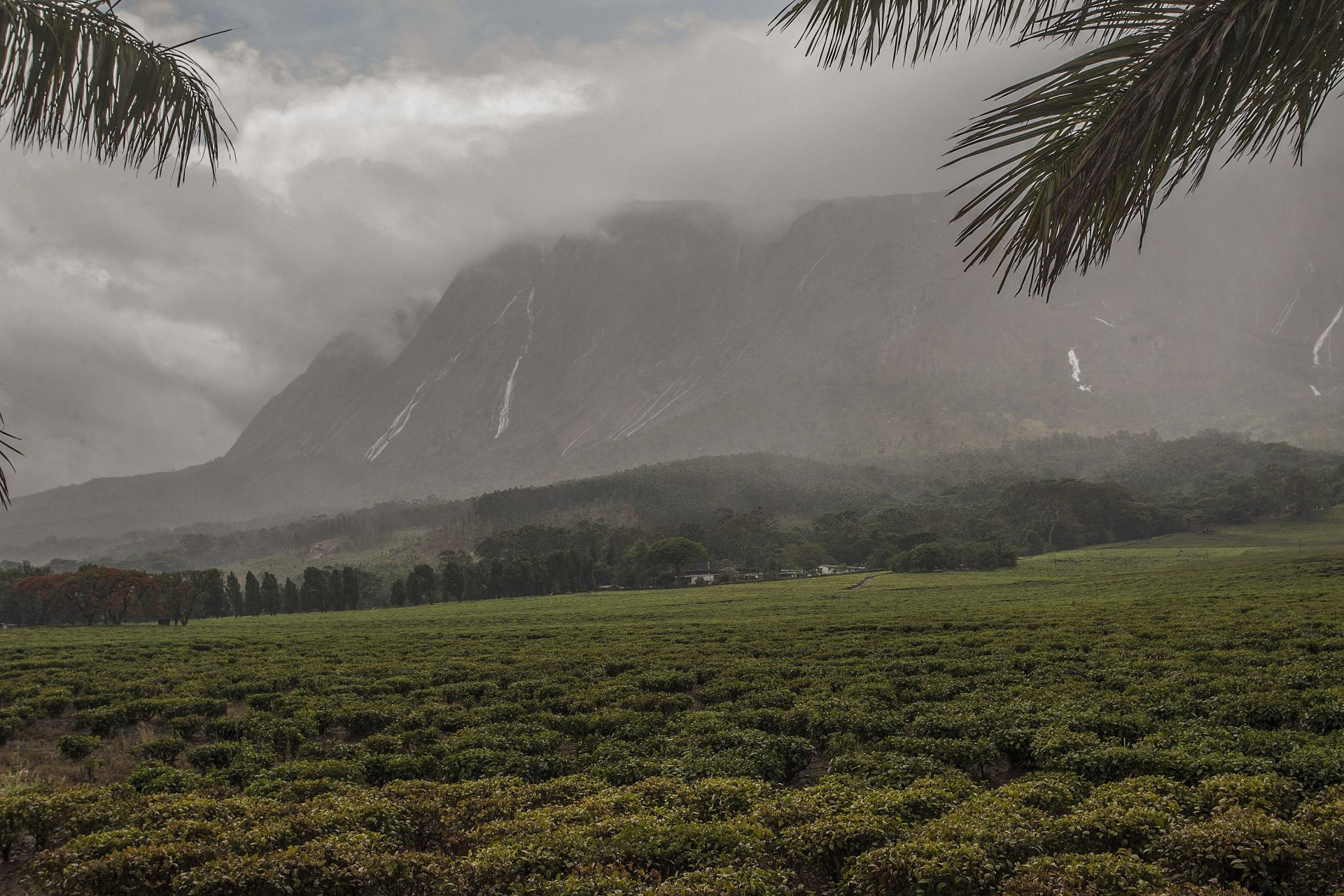 L'Afrique, priorité de l'Unesco encore sous-représentée au Patrimoine mondial
