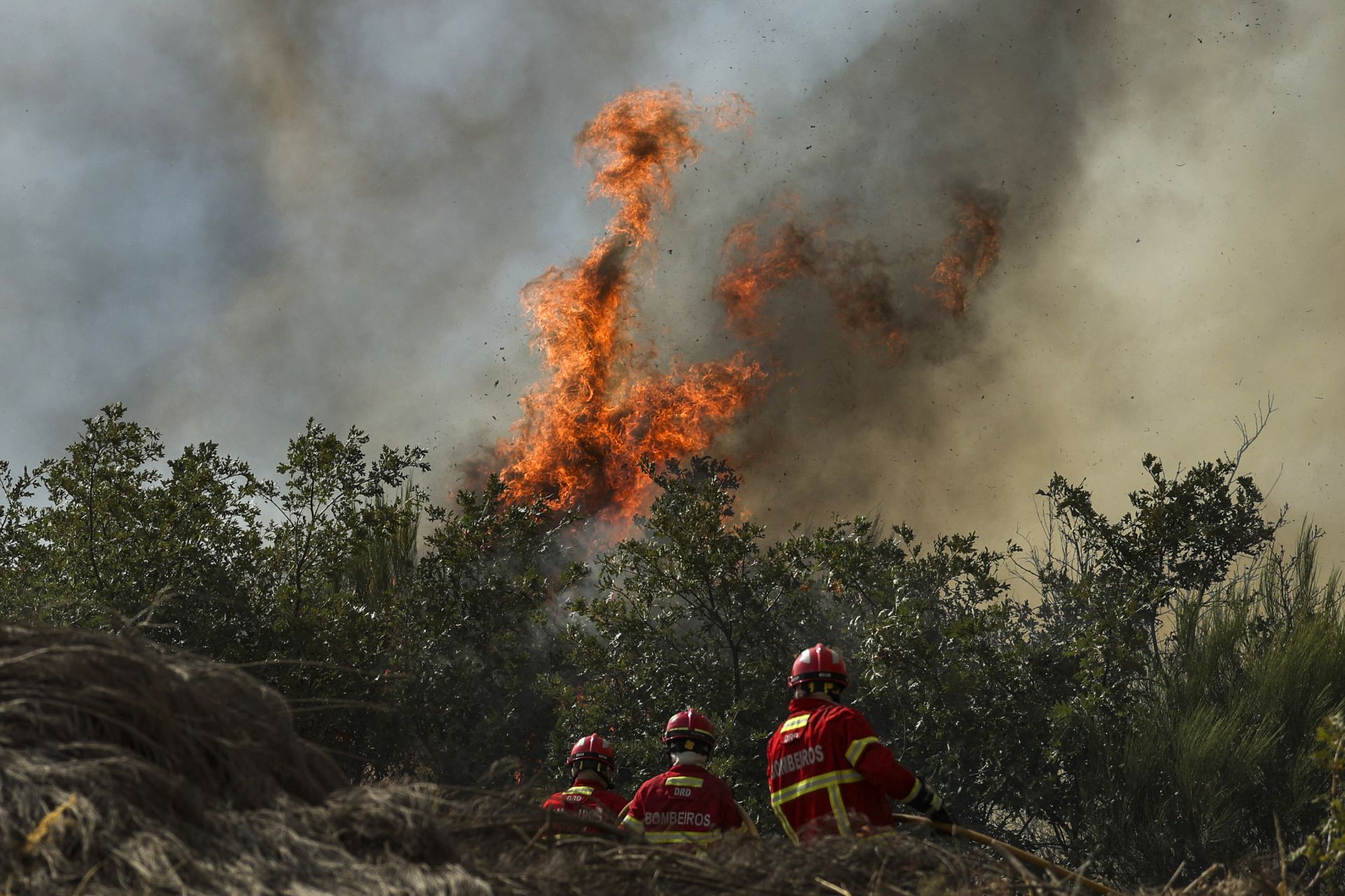 Child Dies in Italy as European Heatwave Sets Records and Sparks Wildfires
