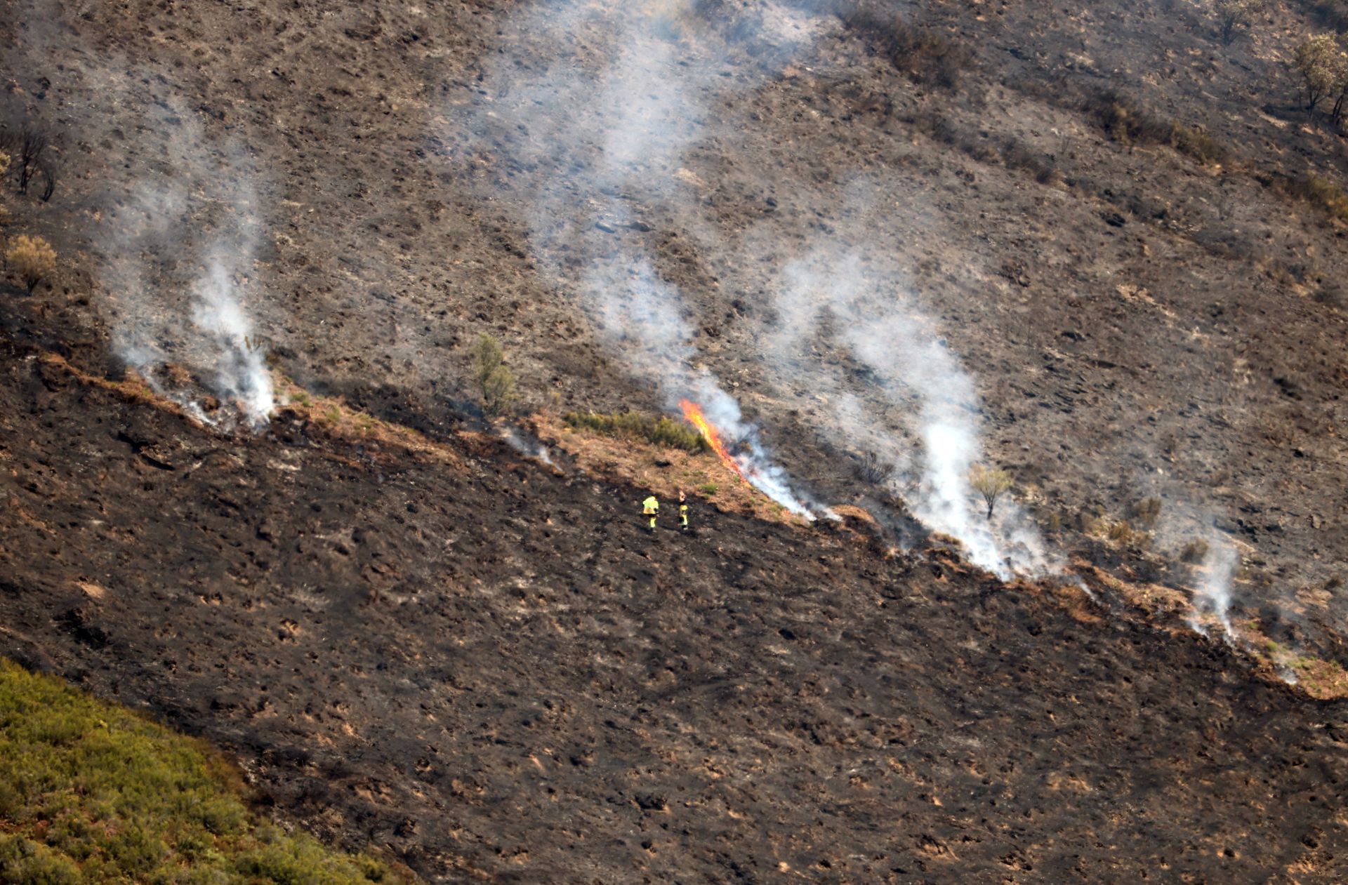 Sécheresse record pour un début août en Europe et sur le pourtour méditerranéen