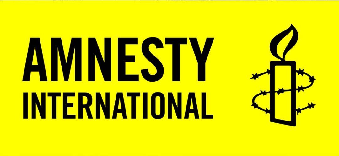 Amnesty International Unveils Evidence of Possible Israeli 'War Crimes'