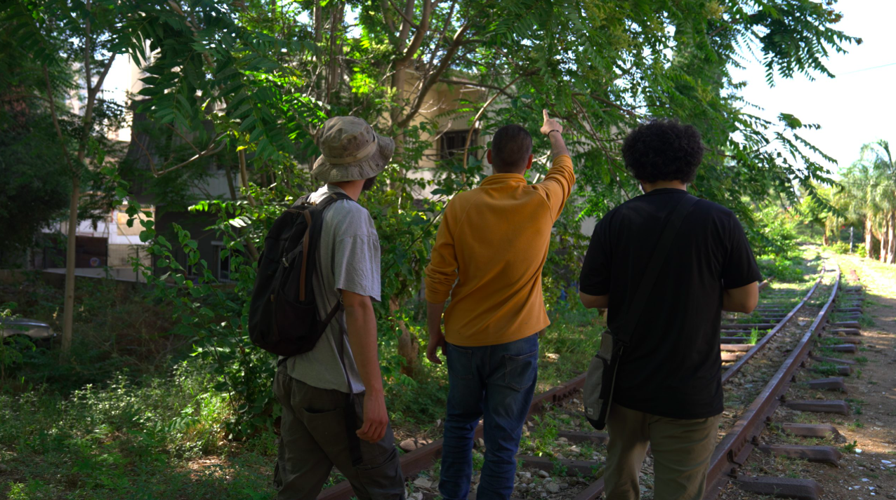 REEF: soirée sur la biodiversité et le Liban face à l’invasion de l’ailante (Ailanthus altissima)