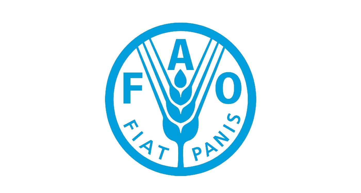 FAO Builds Partnerships to Shape Lebanon’s Agricultural Future