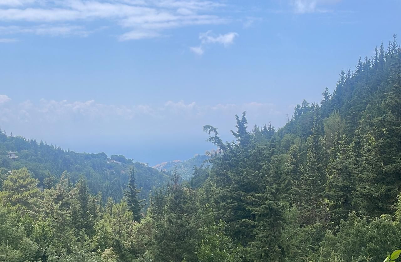 Urgence nationale: protéger les forêts libanaises avant qu'il ne soit trop tard