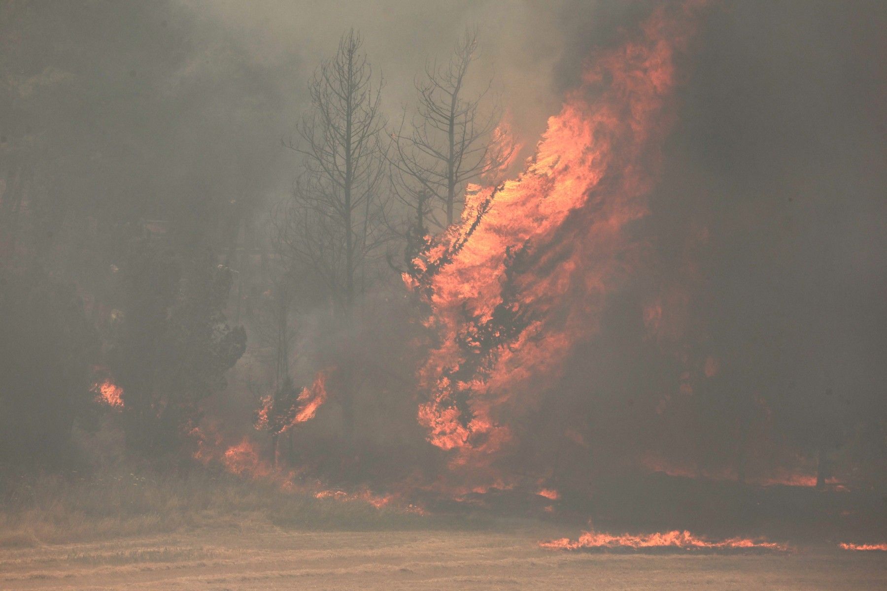Israel Deploys Army to Control Huge Fire Near Jerusalem