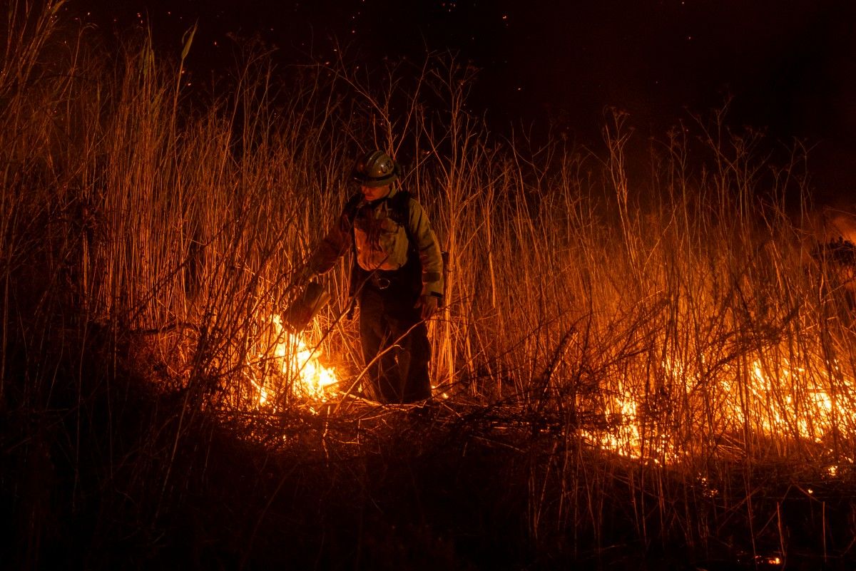 Los Angeles Grammys 2025 Set to Support Wildfire Relief