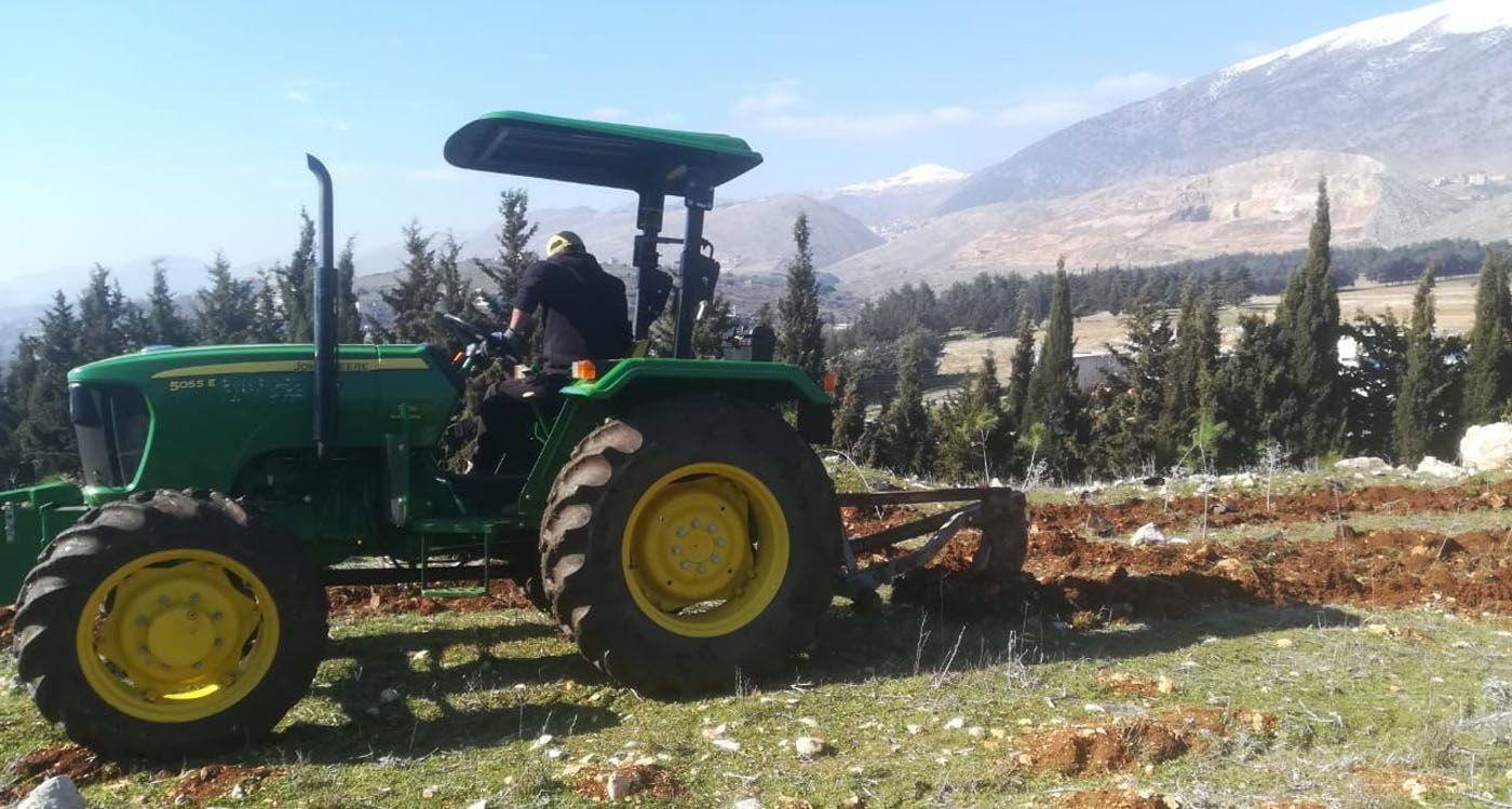 2,000 Pine Trees Planted to Restore the Litani Riverbanks