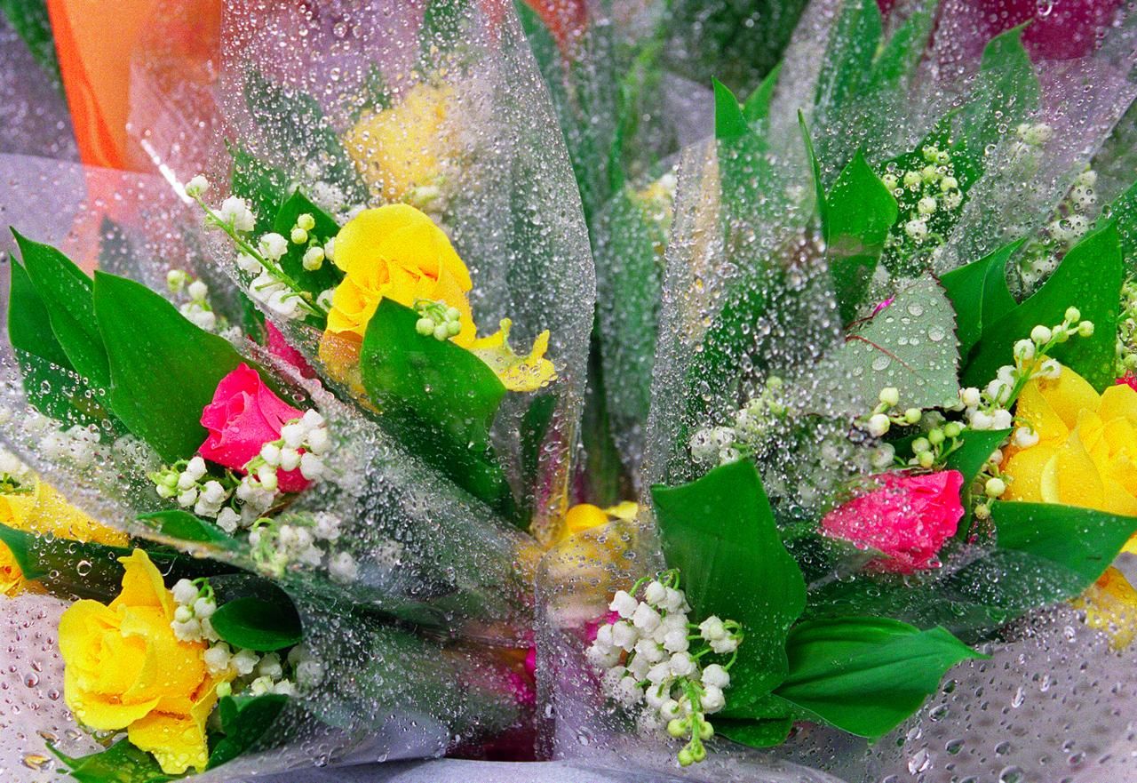 Le muguet du 1er mai, entre rites, luttes et traditions