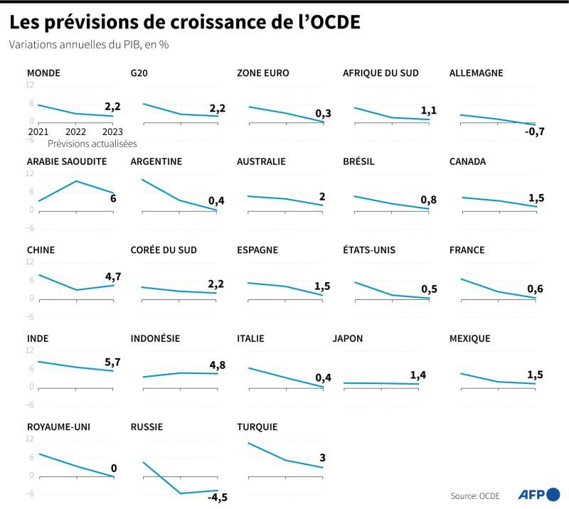 OECD Lowers Global Growth Projections Over 'Trade Barriers' and 'Uncertainty'