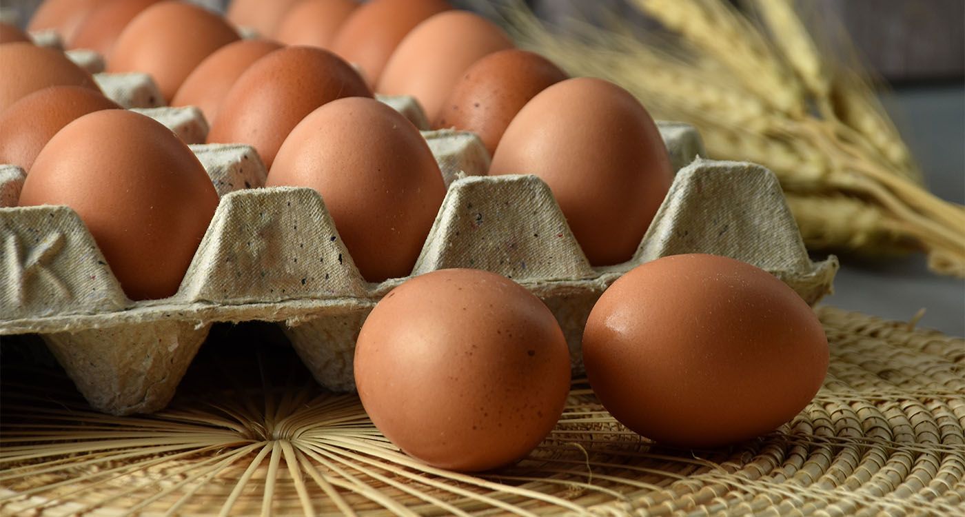 Eggflation: When Eggs Turn into a Pricey Luxury!