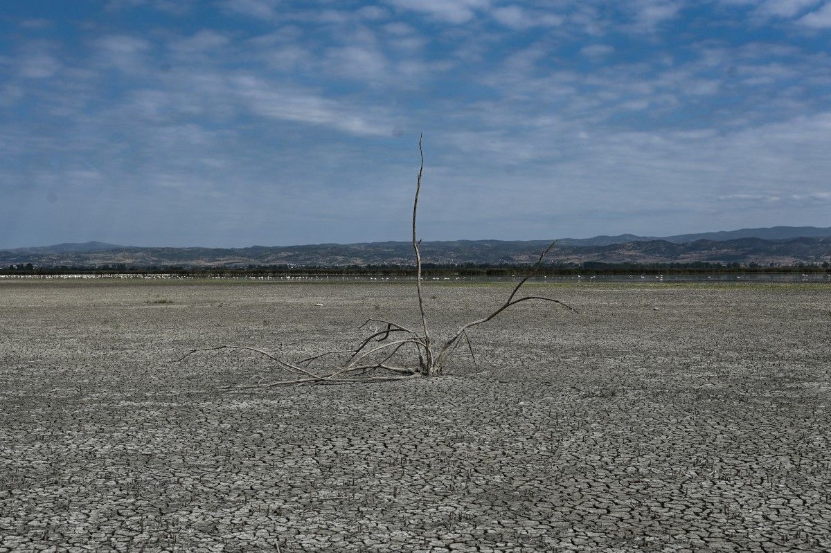 January Sets 'Surprising' Heat Record: EU Monitor